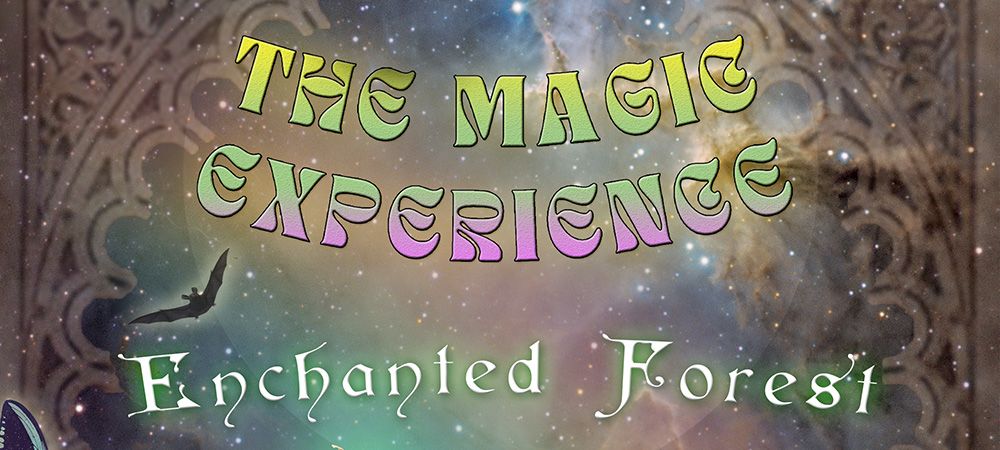 Magic Experience II