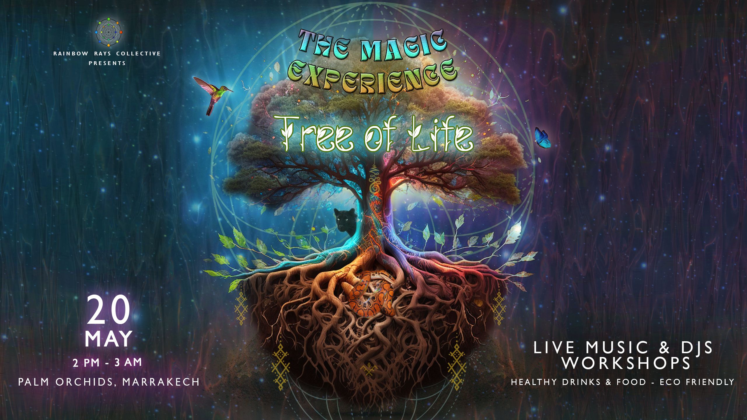 Magic Experience III